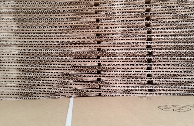 Nearly 3 in 5 people prefer their groceries to be packaged in paper